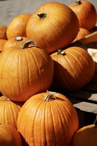 pumpkin-2736995_640