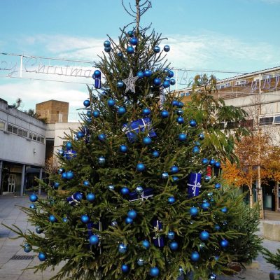 Christmas Tree At Market Place in the Blue