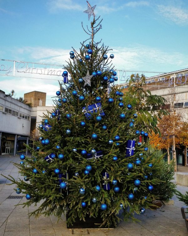Christmas Tree At Market Place in the Blue