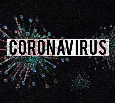 Coronavirus-Image-by-Olga-Lionart-from-Pixabay