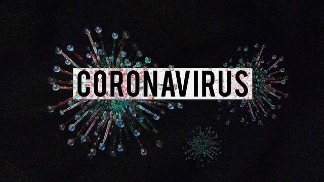 Coronavirus-Image-by-Olga-Lionart-from-Pixabay